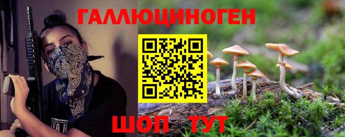 Псилоцибиновые грибы MAGIC MUSHROOMS  Вход с VPN  Новодвинск 