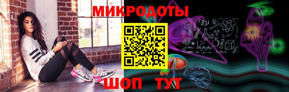Псилоцибиновые грибы Psilocybine cubensis Новодвинск